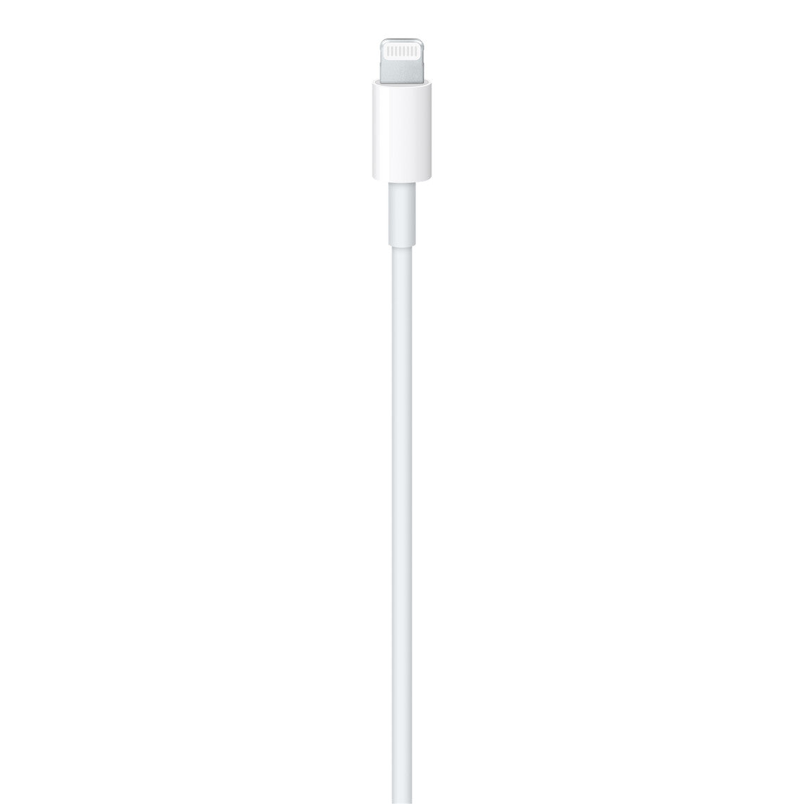 Cable de USB-C a conector Lightning (2 m)